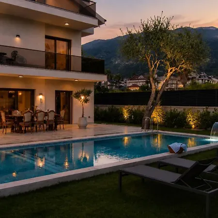Terra Oliva * Φετιγιέ